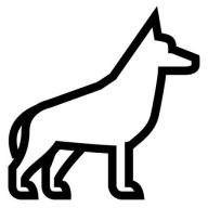 SV OG Traunstein e.V.