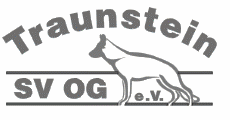 SV OG Traunstein e.V.